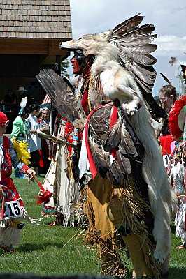 Medicine Crow